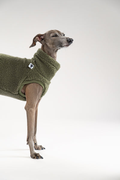 Windspiel im olivefarbenen Hundeshirt, ärmelloses Design für maximale Bewegungsfreiheit