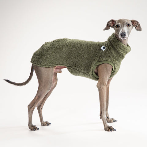 Hundepullover Dark Olive für Windspiele, handgemacht in Berlin, atmungsaktiv und langlebig