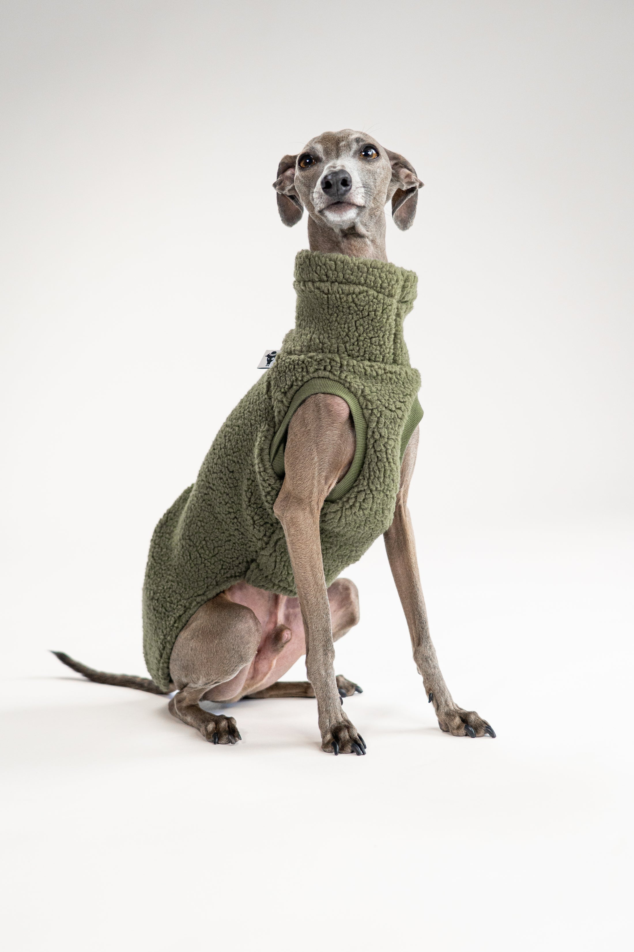 Italienisches Windspiel trägt Hundepullover in Dark Olive, Long Shirt aus weichem Teddy-Stoff