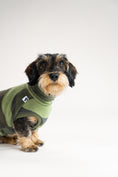 Load image into Gallery viewer, Rauhaar Dackel in handgemachten Fleece Long Shirt von Karma Hund

