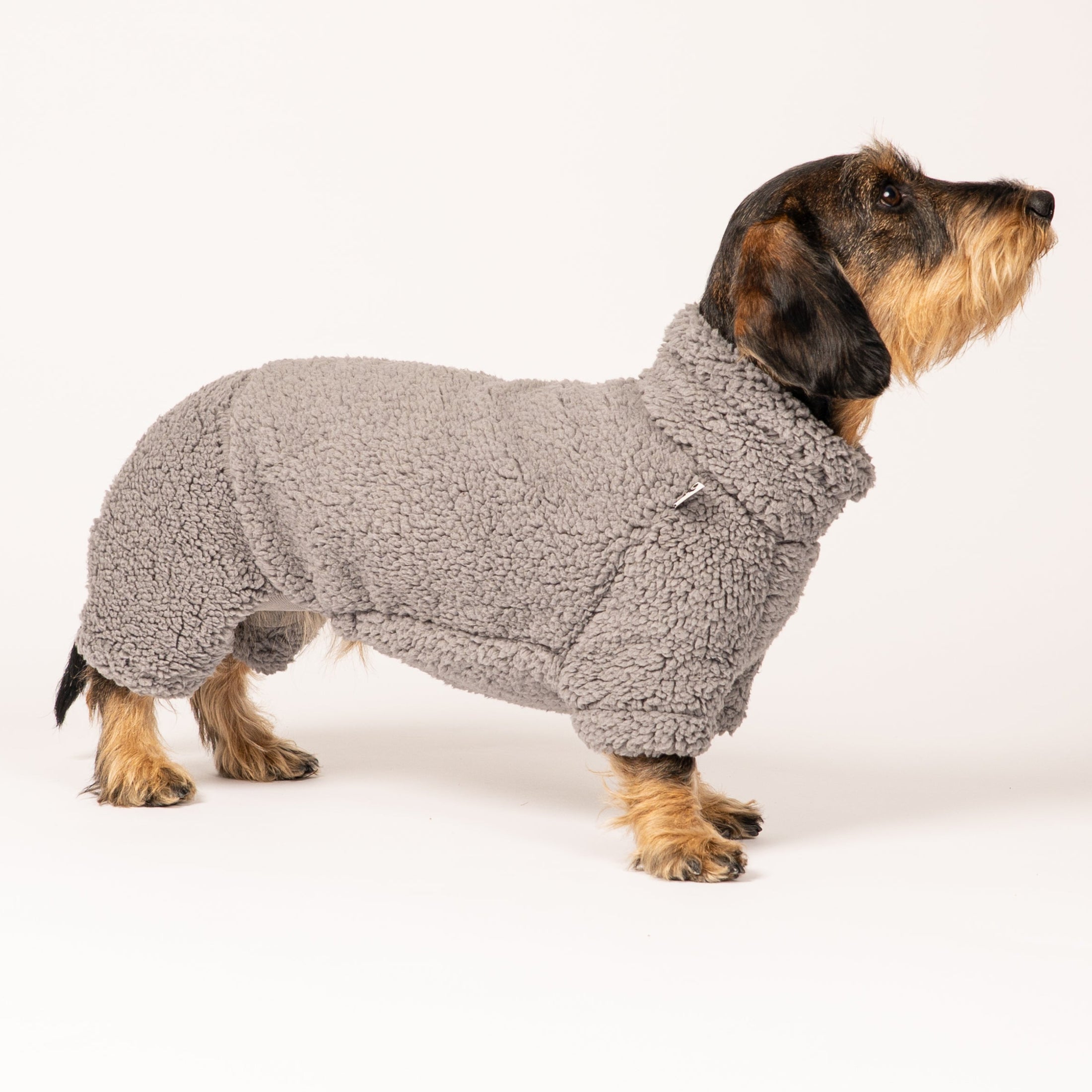 Dackel trägt doppelseitigen Fleece Overall in Größe XL – Handarbeit aus Berlin