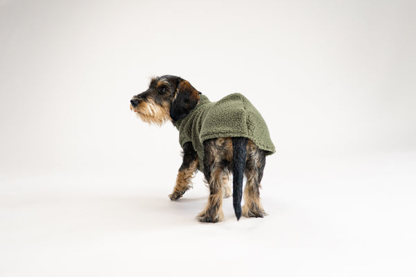 Warmer Hundepullover in Teddyfleece, Farbe Olivgrün