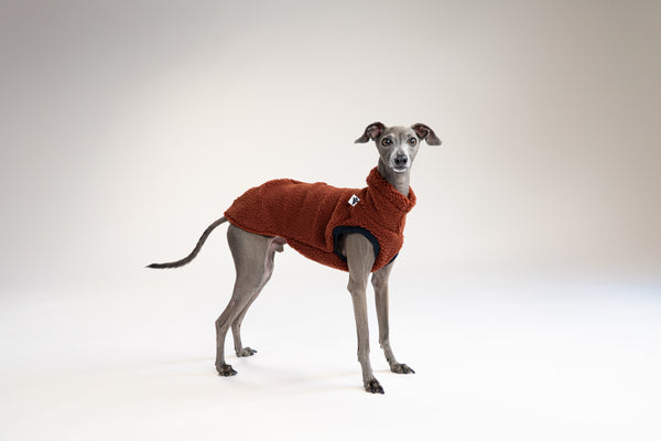 Detailaufnahme Hundepullover in Brown, weicher Teddy-Stoff für kleine Windhunde