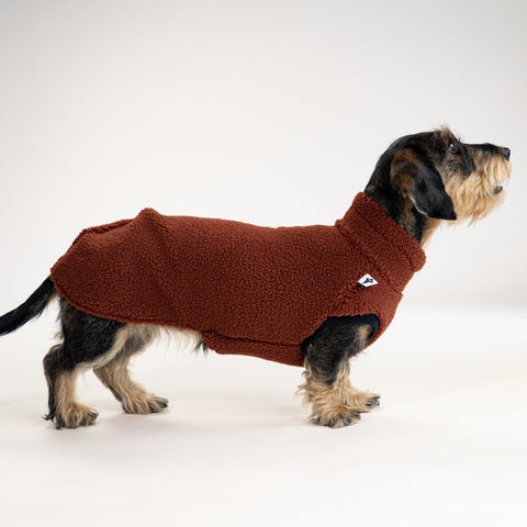 Handgemachtes Long Shirt in Braun für Dackel und Terrier
