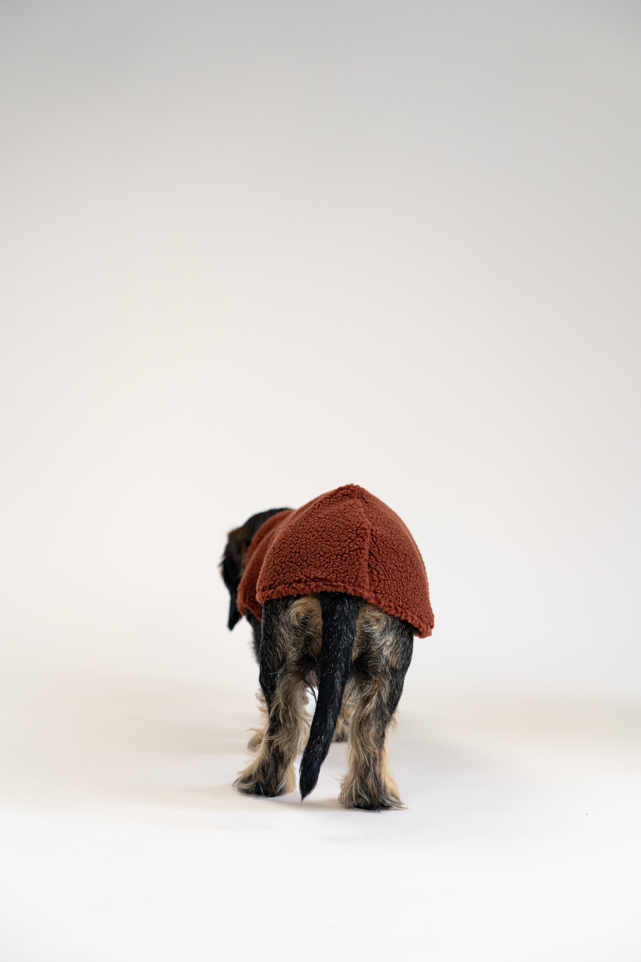 Hundebekleidung handgemacht in Berlin – Teddy Long Shirt in Braun