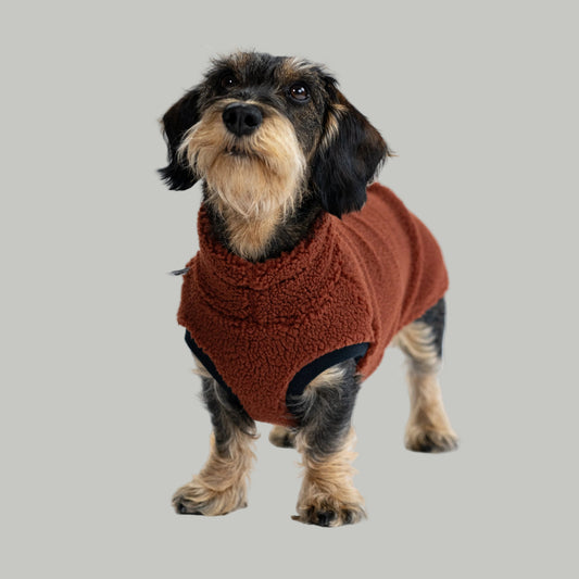 Teddy Shirt Dackel Brown – ergonomischer Schnitt für Dackel und Windhunde – handgefertigte Hundekleidung