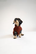 Load image into Gallery viewer, Winterkleidung für kleine Hunde – Teddy Long Shirt in Braun
