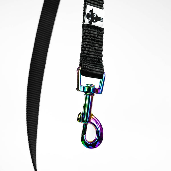 Regenbogen Karabiner Love Leine