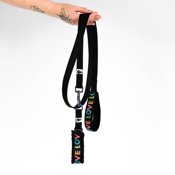 Love Set Rainbow Collar Leash set