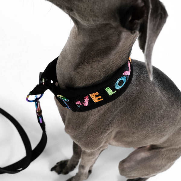 LOVE Martingale Collar and Leach Rainbow