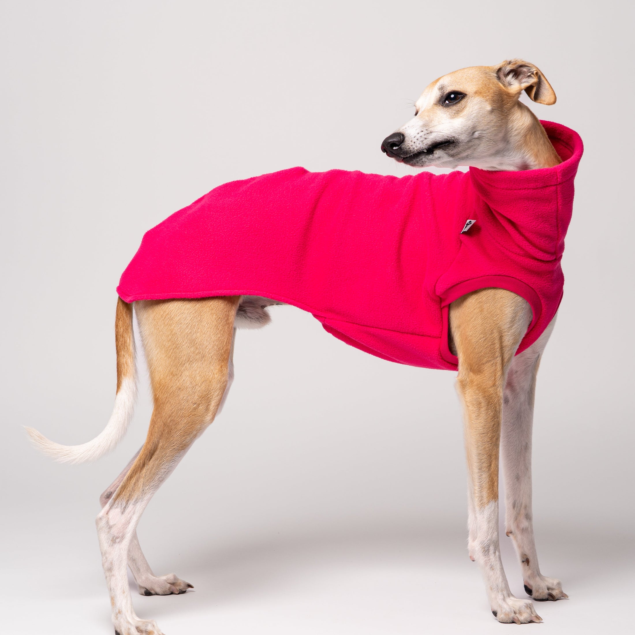 Fleece Shirt für Windhunde in Pink