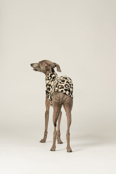 Handgemachtes Long Shirt aus Fleece mit Leo-Muster für kleine Windhunde