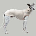 Load image into Gallery viewer, Seitliche Ansicht: Whippet zeigt körpernahes Long Shirt in Sand – elegant und bewegungsfreundlich
