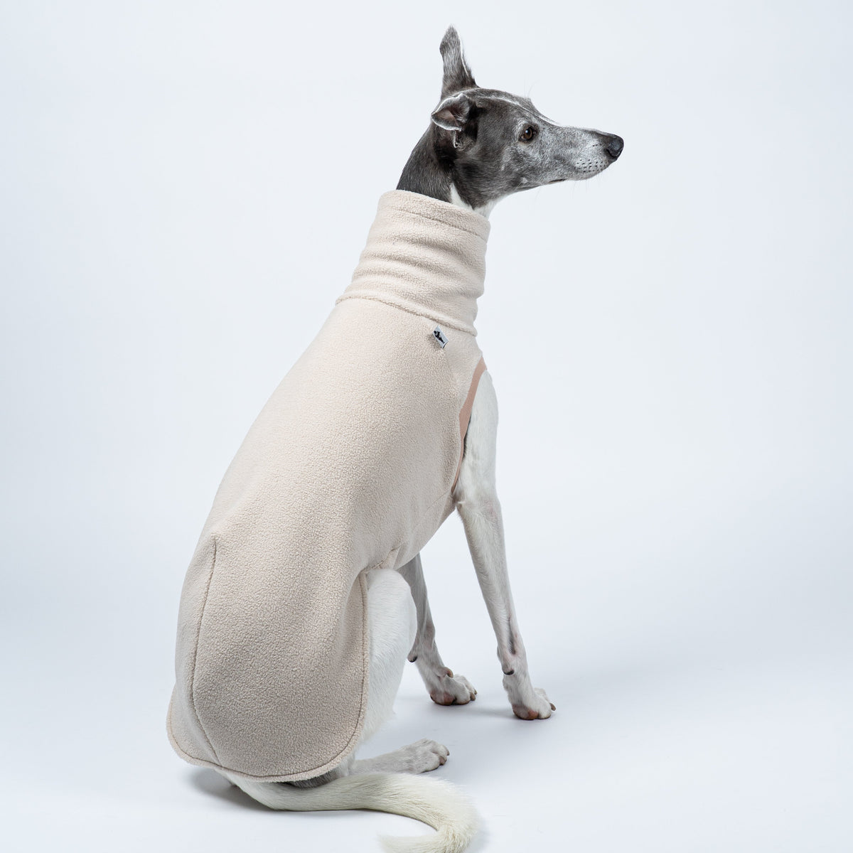 Whippet im Seitenprofil mit Long Shirt in Sand – ergonomisch geschnitten für schlanke Windhundkörper