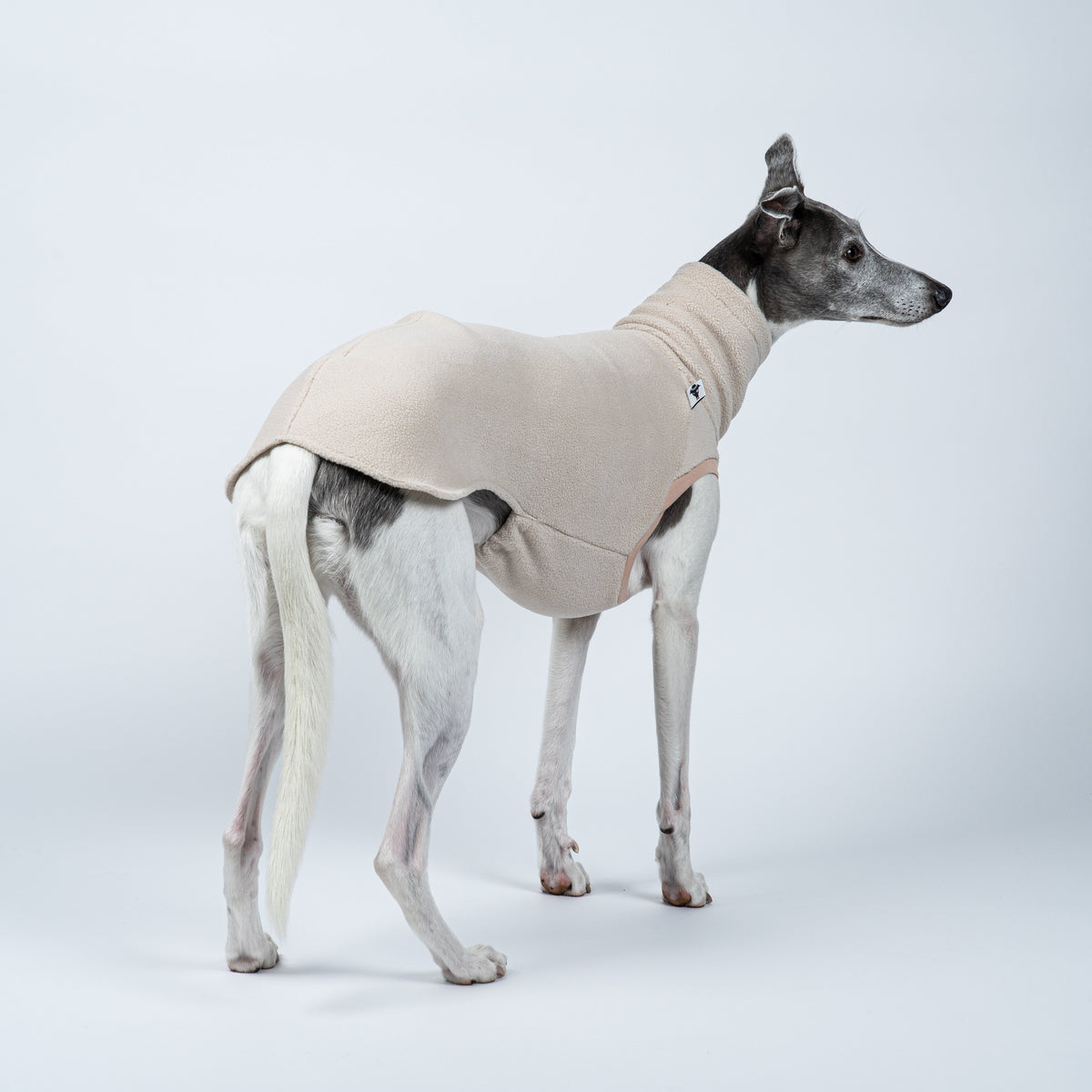 Sandfarbenes Long Shirt betont die feine Silhouette des Whippets – weich und dehnbar