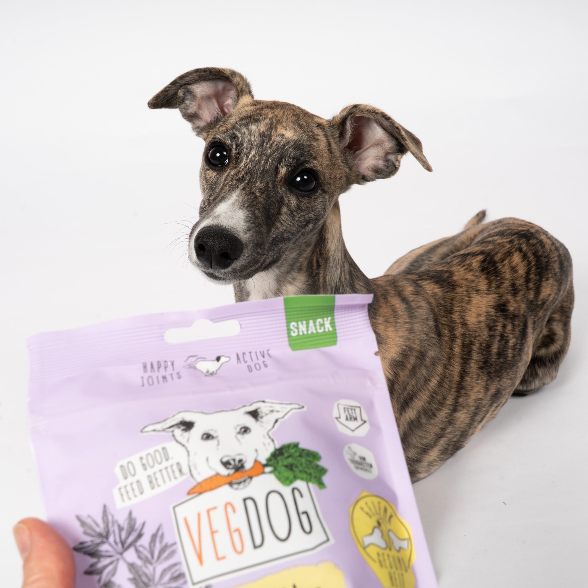 VEGDOG Mobilities Minis