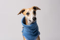Load image into Gallery viewer, Nahaufnahme Whippet Long Shirt Fleece in Sky Blue
