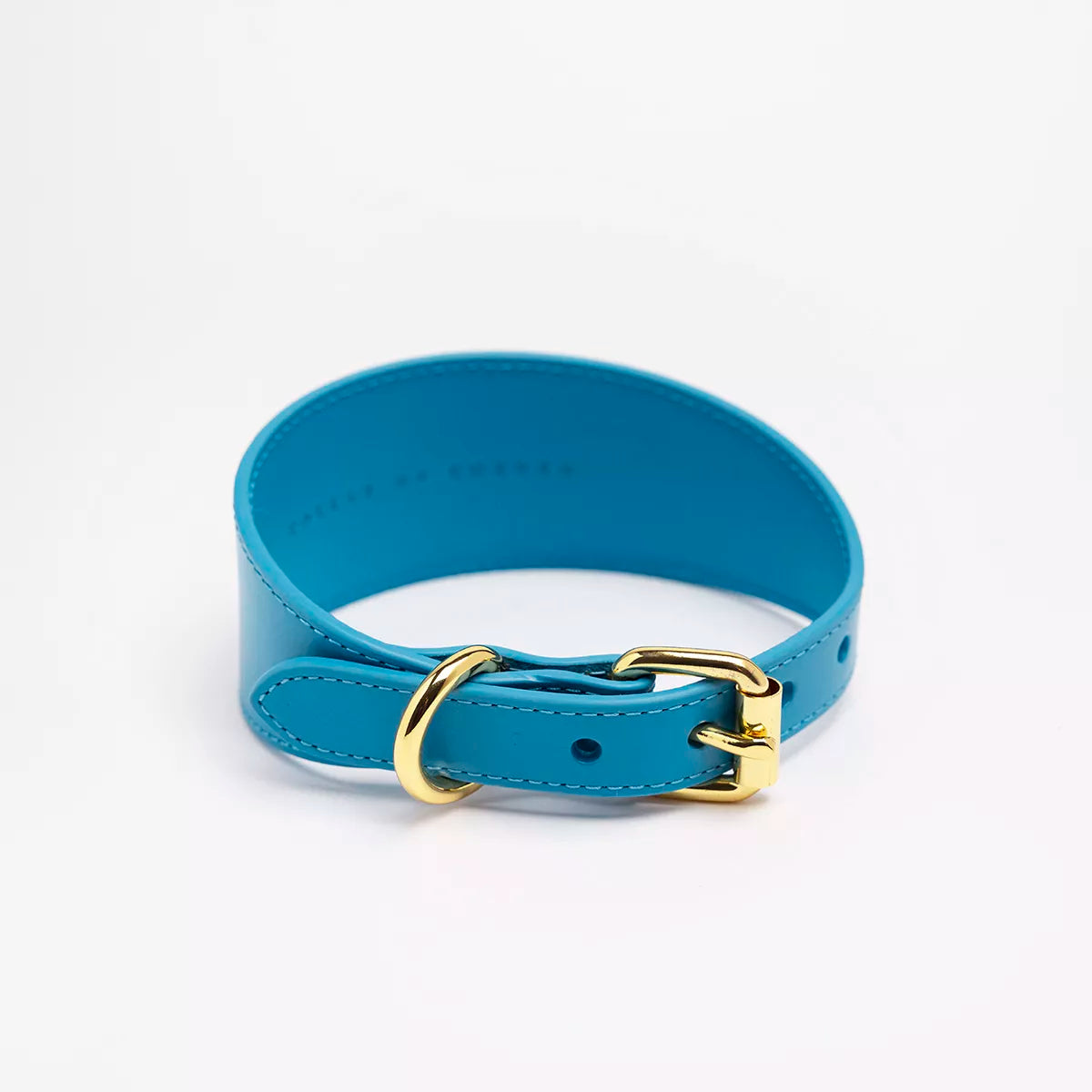 Neon Blue Collar greyhound collar