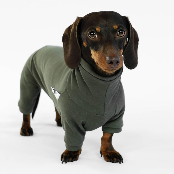 Dachshund Jumper