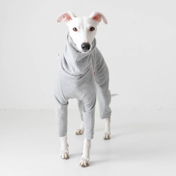 Whippet Kleidung