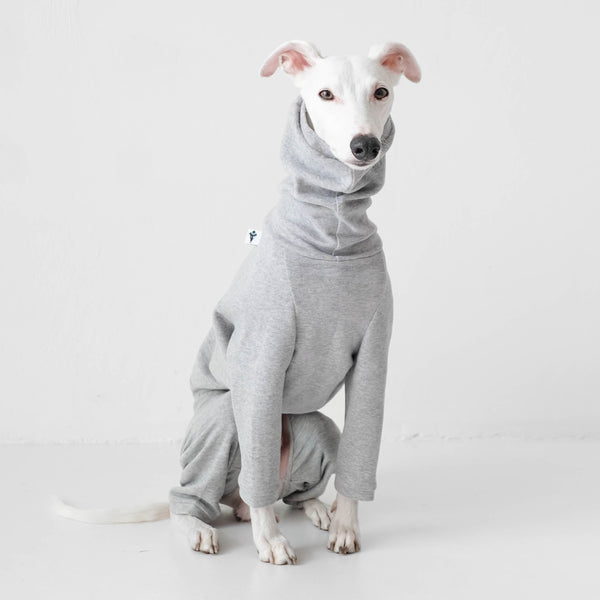 Whippet Fashion