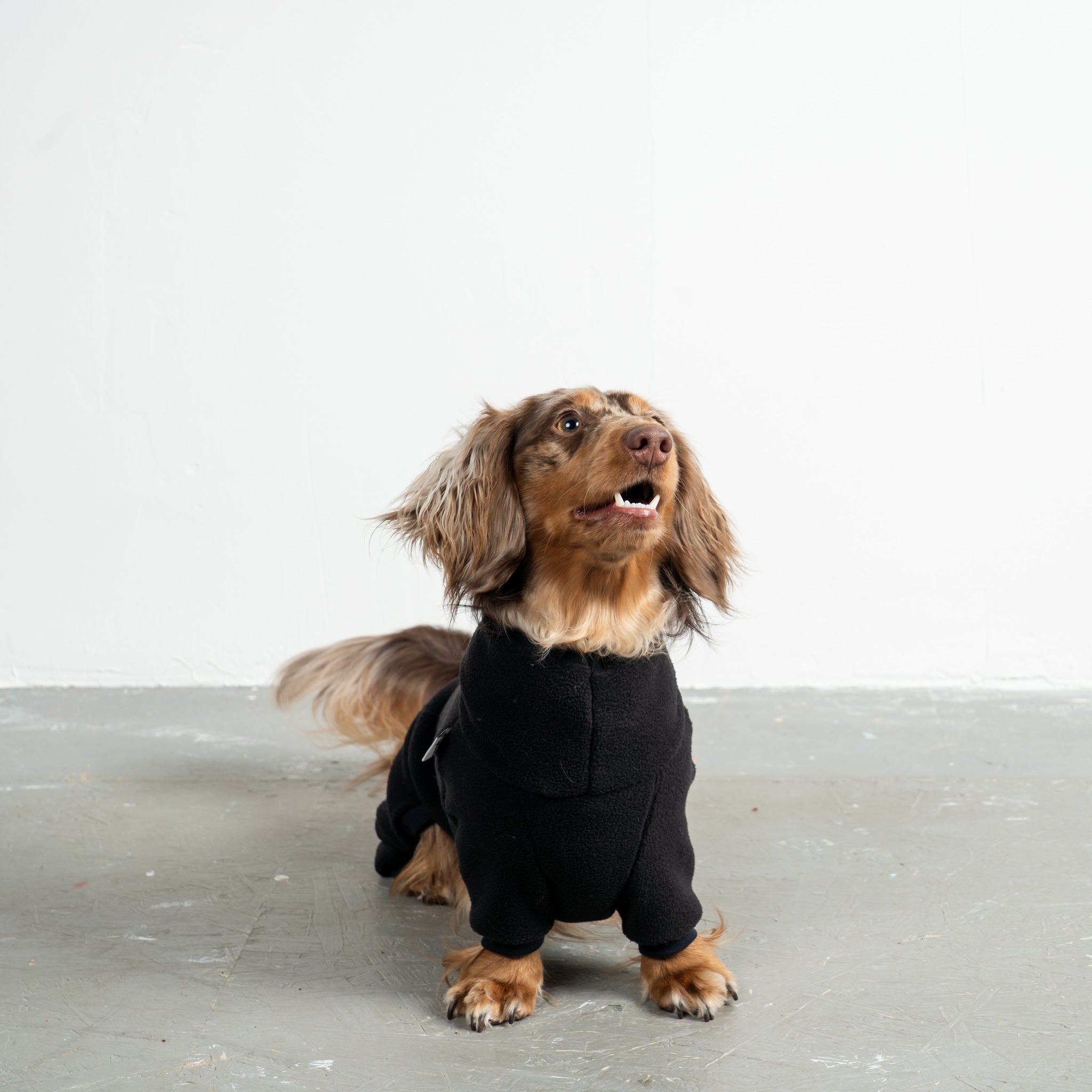 Overall Dackel Schwarz – ergonomischer Schnitt für Dackel und Windhunde – handgefertigte Hundekleidung