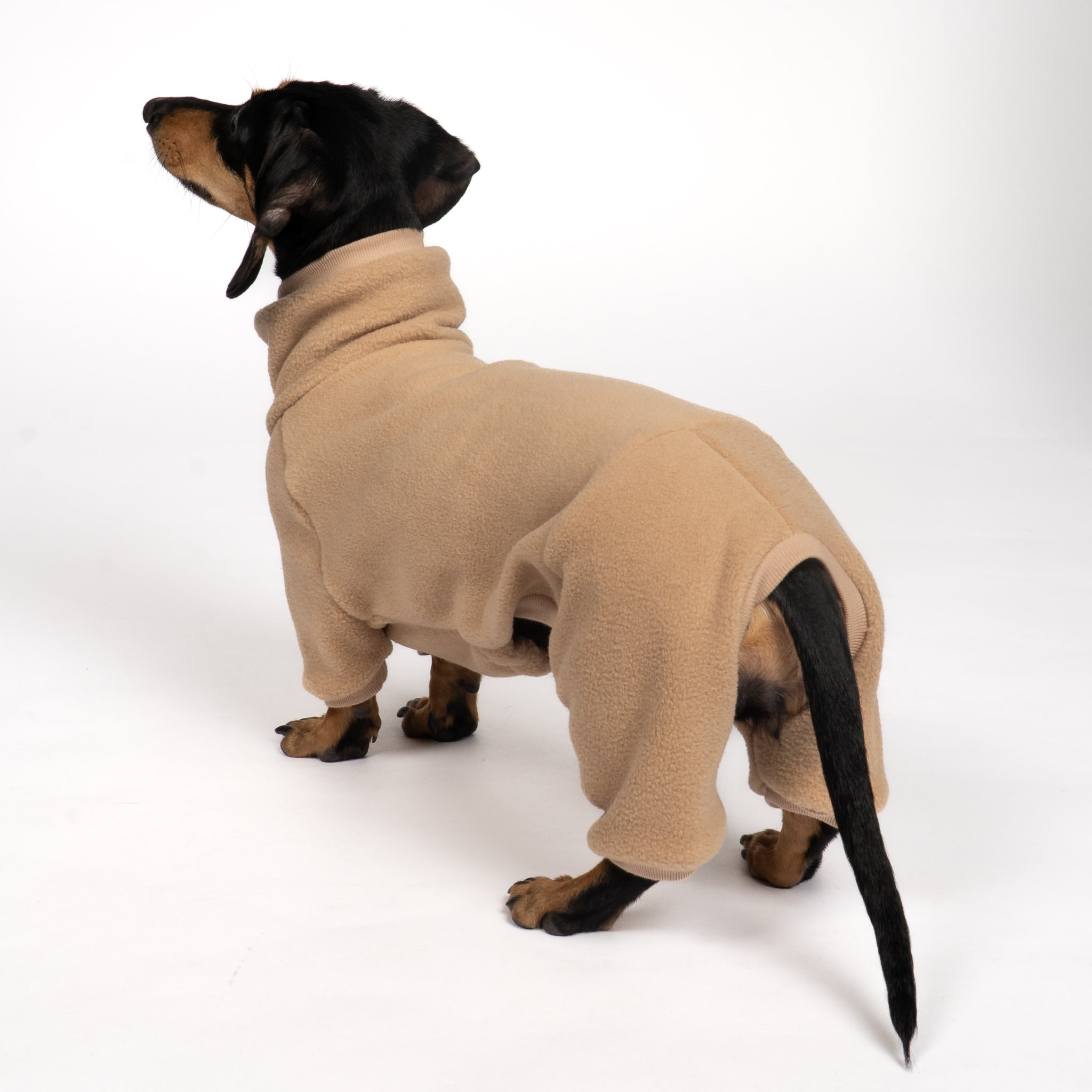 OVERALL Dackel Camel