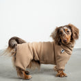Load image into Gallery viewer, Overall Dackel Camel – Hundepullover und Hundekleidung für Dackel und Windhunde – Seitenansicht am Hund

