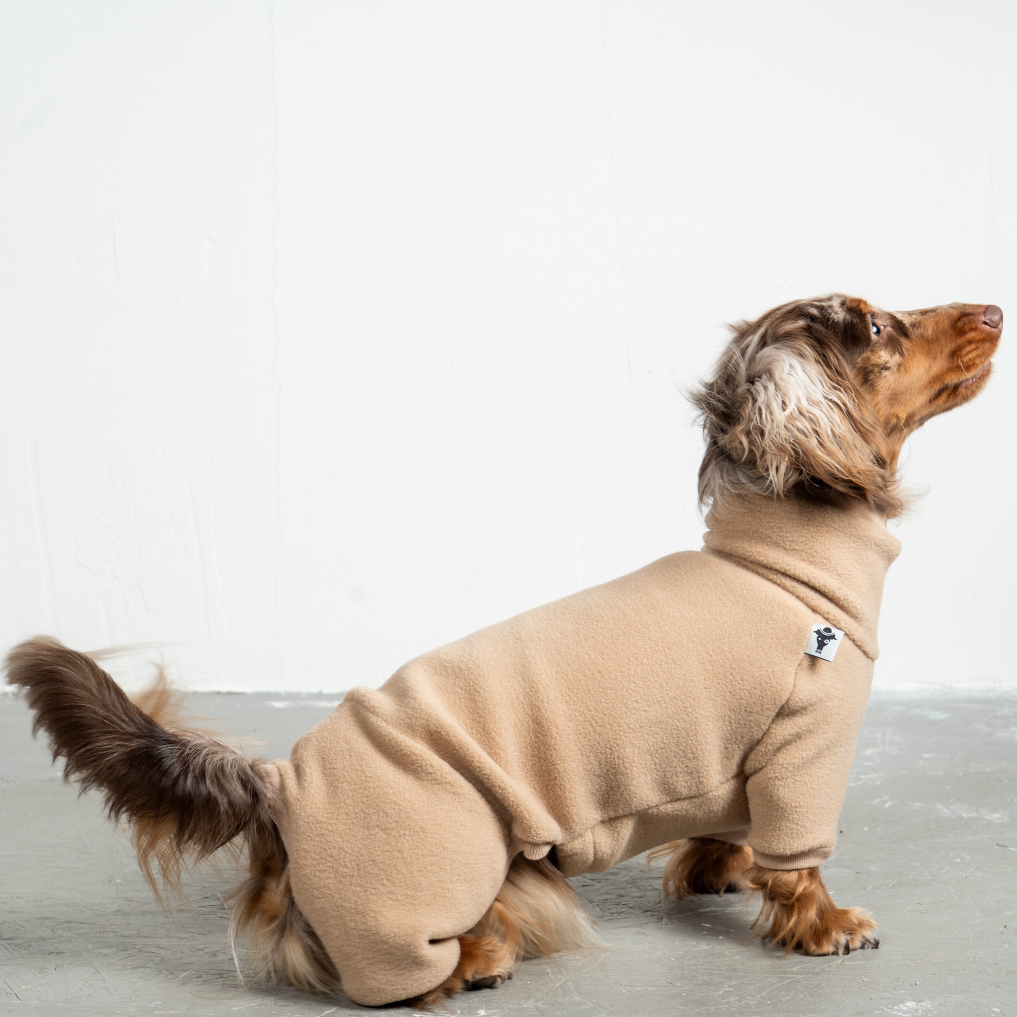 Overall Dackel Camel – optimale Passform für Windhunde, Whippets und Dackel