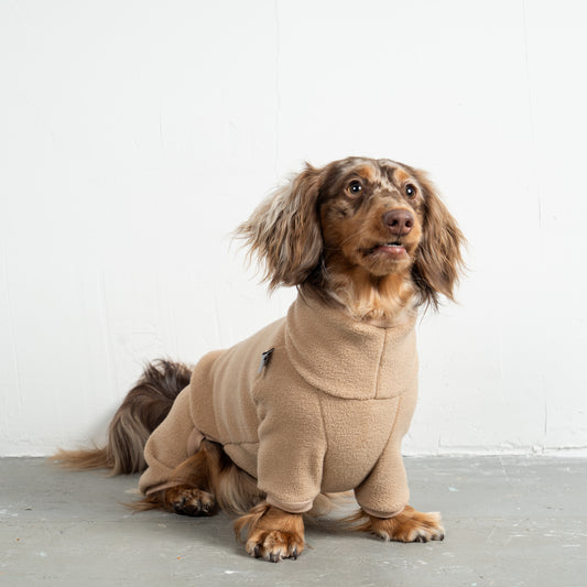 Overall Dackel Camel – Close-up am Hund – hochwertige Hundekleidung von Karma Hund