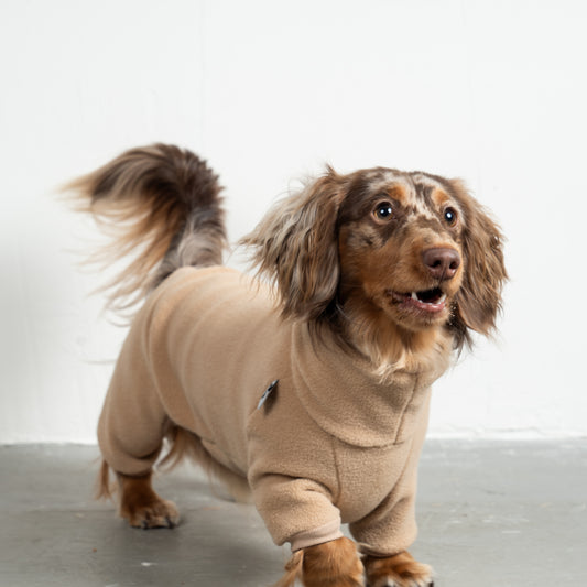 Overall Dackel Camel – Hund in Bewegung – bequeme Hundekleidung für Dackel
