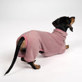 Load image into Gallery viewer, Overall Dackel Mulberry – Hundekleidung für Dackel, Windspiele und Whippets – Rückenansicht
