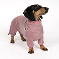 Load image into Gallery viewer, Overall Dackel Mulberry – ergonomischer Schnitt für Dackel und Windhunde – handgefertigte Hundekleidung
