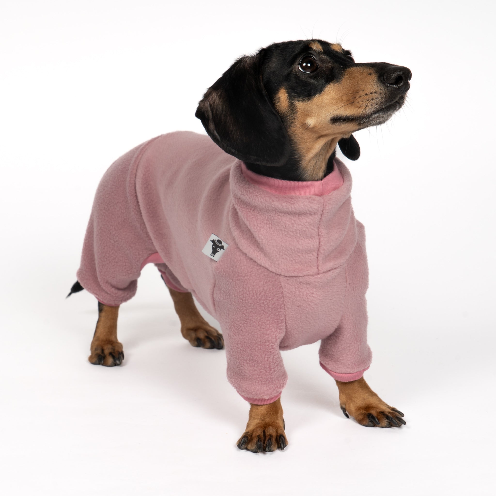 Overall Dackel Mulberry – ergonomischer Schnitt für Dackel und Windhunde – handgefertigte Hundekleidung