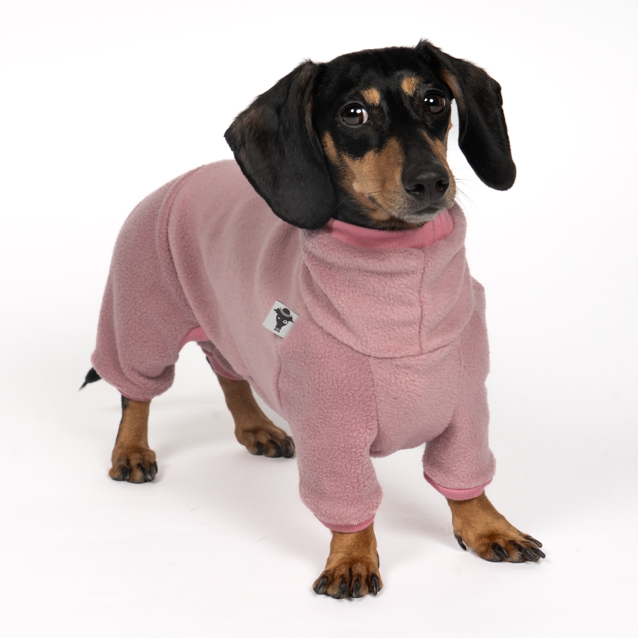 Overall Dackel Mulberry – ergonomischer Schnitt für Dackel und Windhunde – handgefertigte Hundekleidung