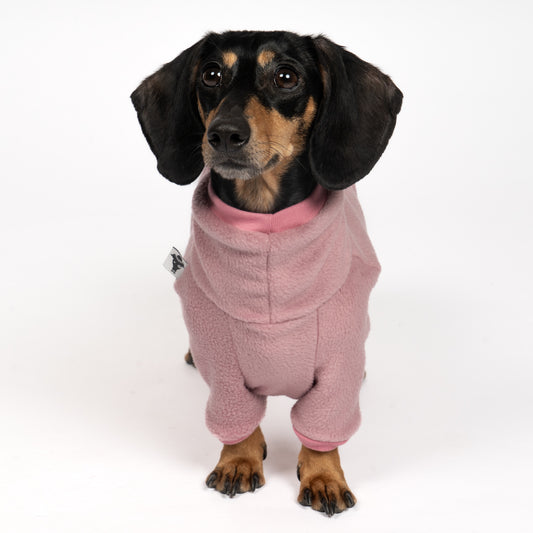 Overall Dackel Mulberry – Close-up am Hund – hochwertige Hundekleidung von Karma Hund