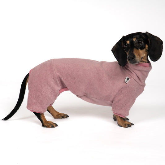 Overall Dackel Mulberry – hochwertige Hundekleidung für Dackel, Windspiele und Windhunde von Karma Hund Berlin – Ganzkörperansicht am Hund