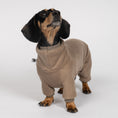 Load image into Gallery viewer, Polar fleece overall for dachshund Walnut
