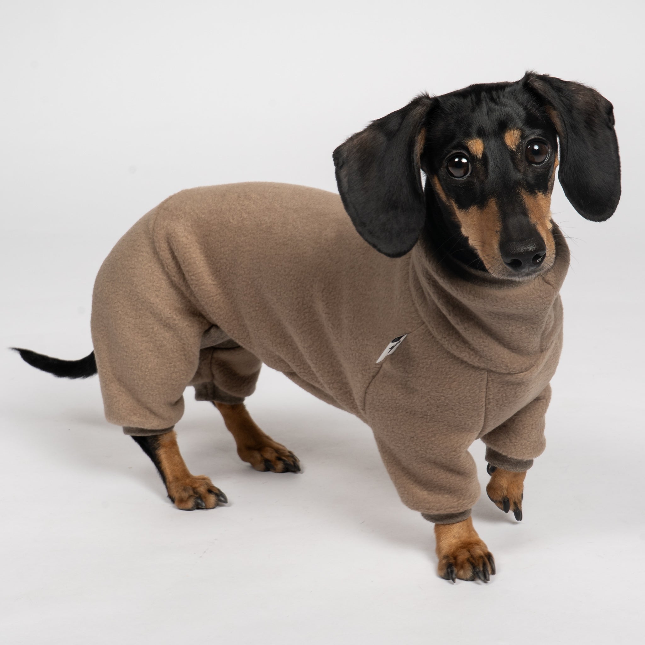 Polar fleece overall for dachshund Walnut