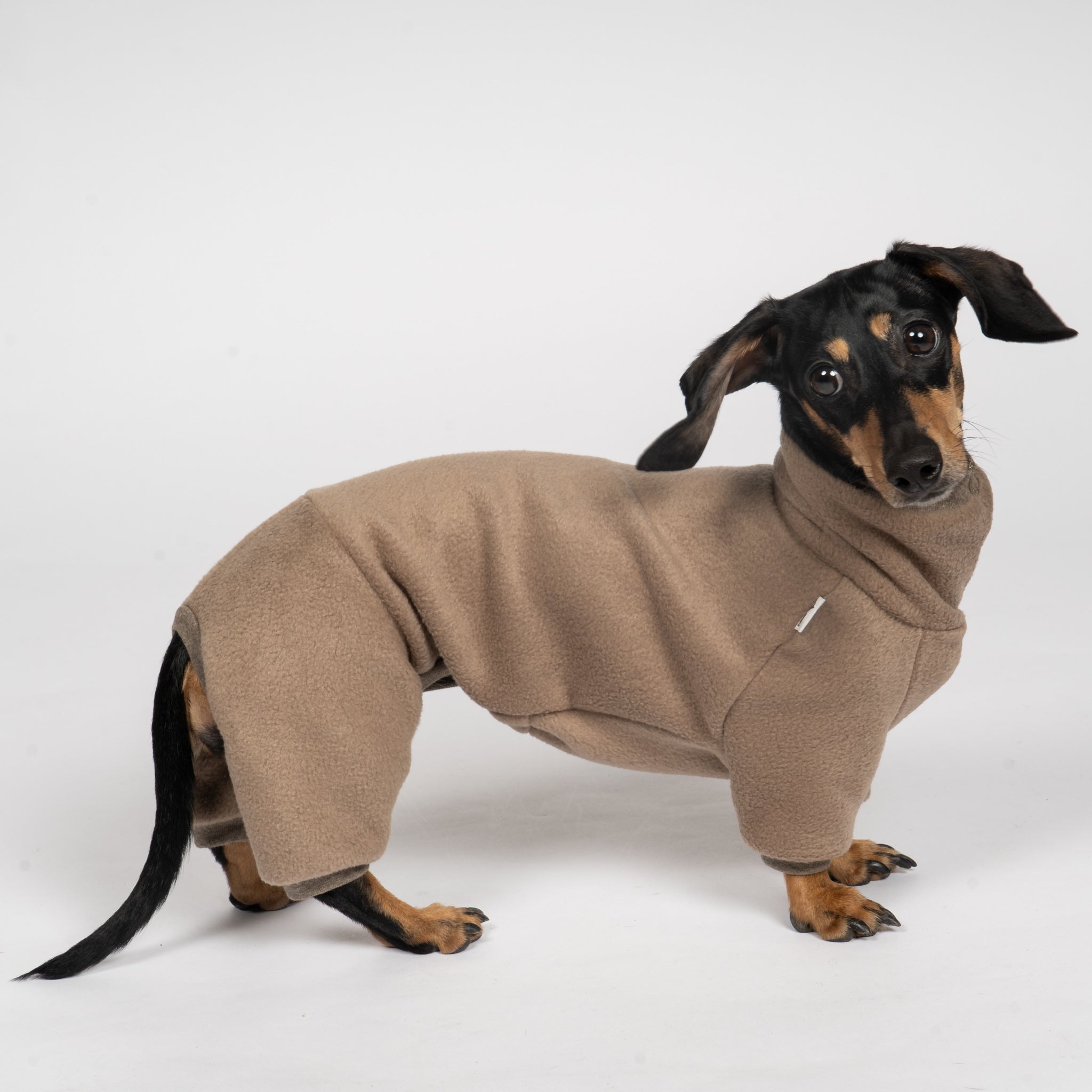 Polar fleece overall for dachshund Walnut