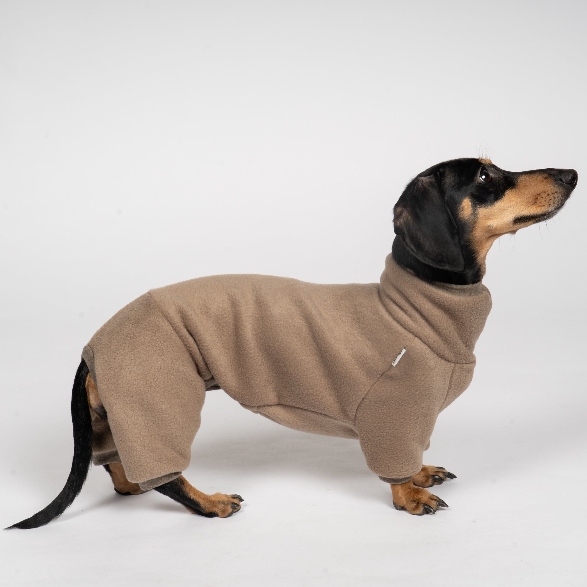 Polar fleece overall for dachshund Walnut