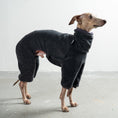 Load image into Gallery viewer, Overall Iggy Anthrazit – Hundepullover und Hundekleidung für Dackel und Windspiele – Seitenansicht am Hund
