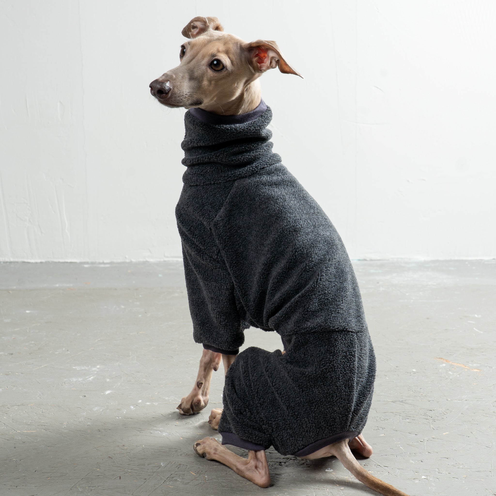 Overall Iggy Anthrazit – Hundekleidung für Dackel, Windspiele und Whippets – Rückenansicht