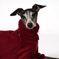 Load image into Gallery viewer, Overall Iggy Bordeaux – Close-up am Hund – hochwertige Hundekleidung von Karma Hund
