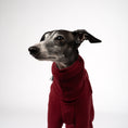 Load image into Gallery viewer, Overall Iggy Bordeaux – Close-up am Hund – hochwertige Hundekleidung von Karma Hund
