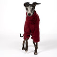 Load image into Gallery viewer, Overall Iggy Bordeaux – Close-up am Hund – hochwertige Hundekleidung von Karma Hund
