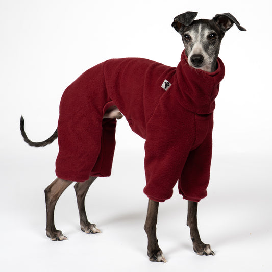 Overall Iggy Bordeaux – hochwertige Hundekleidung für Dackel, Windspiele und Windhunde von Karma Hund Berlin – Ganzkörperansicht am Hund