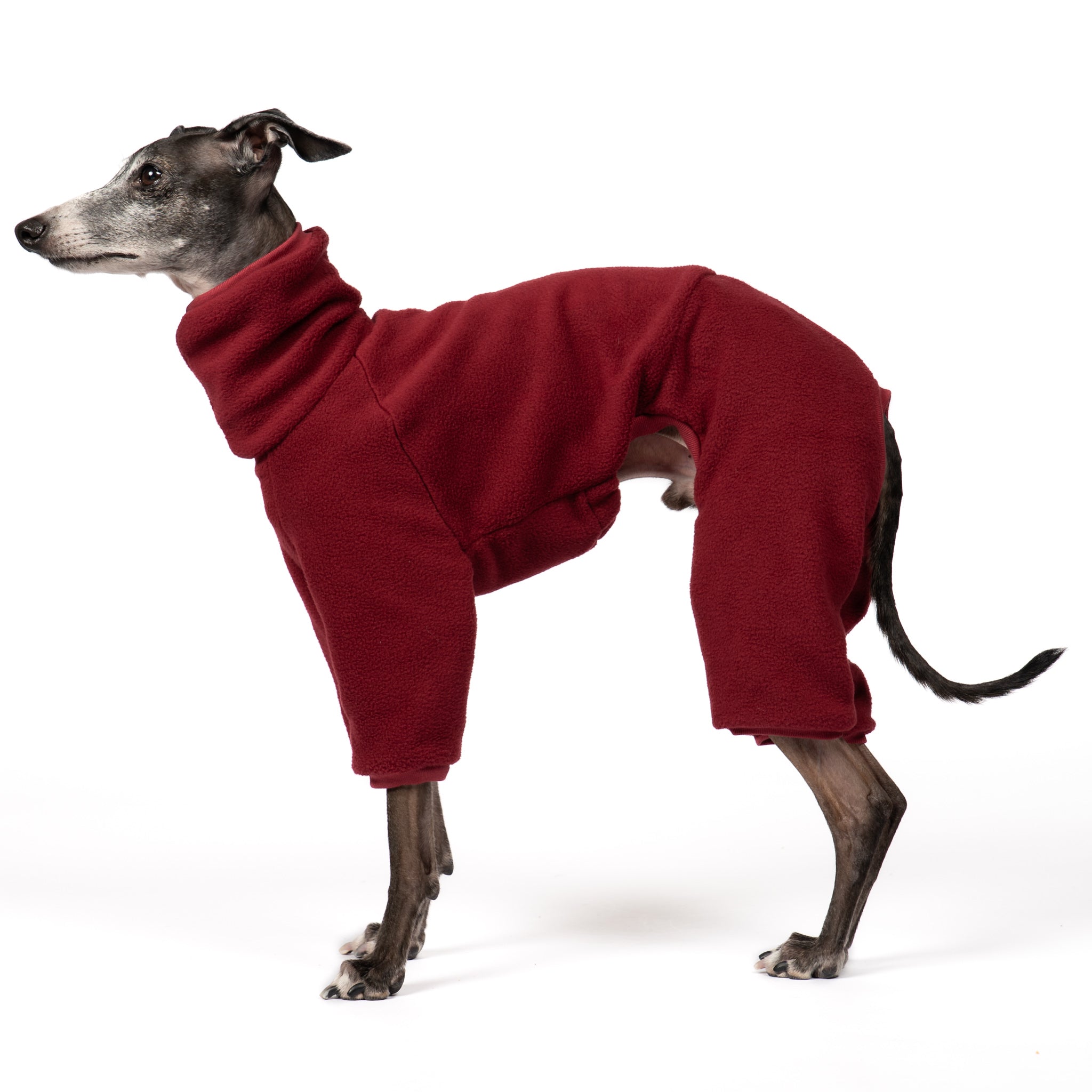 Overall Iggy Bordeaux – Hundepullover und Hundekleidung für Dackel und Windspiele – Seitenansicht am Hund