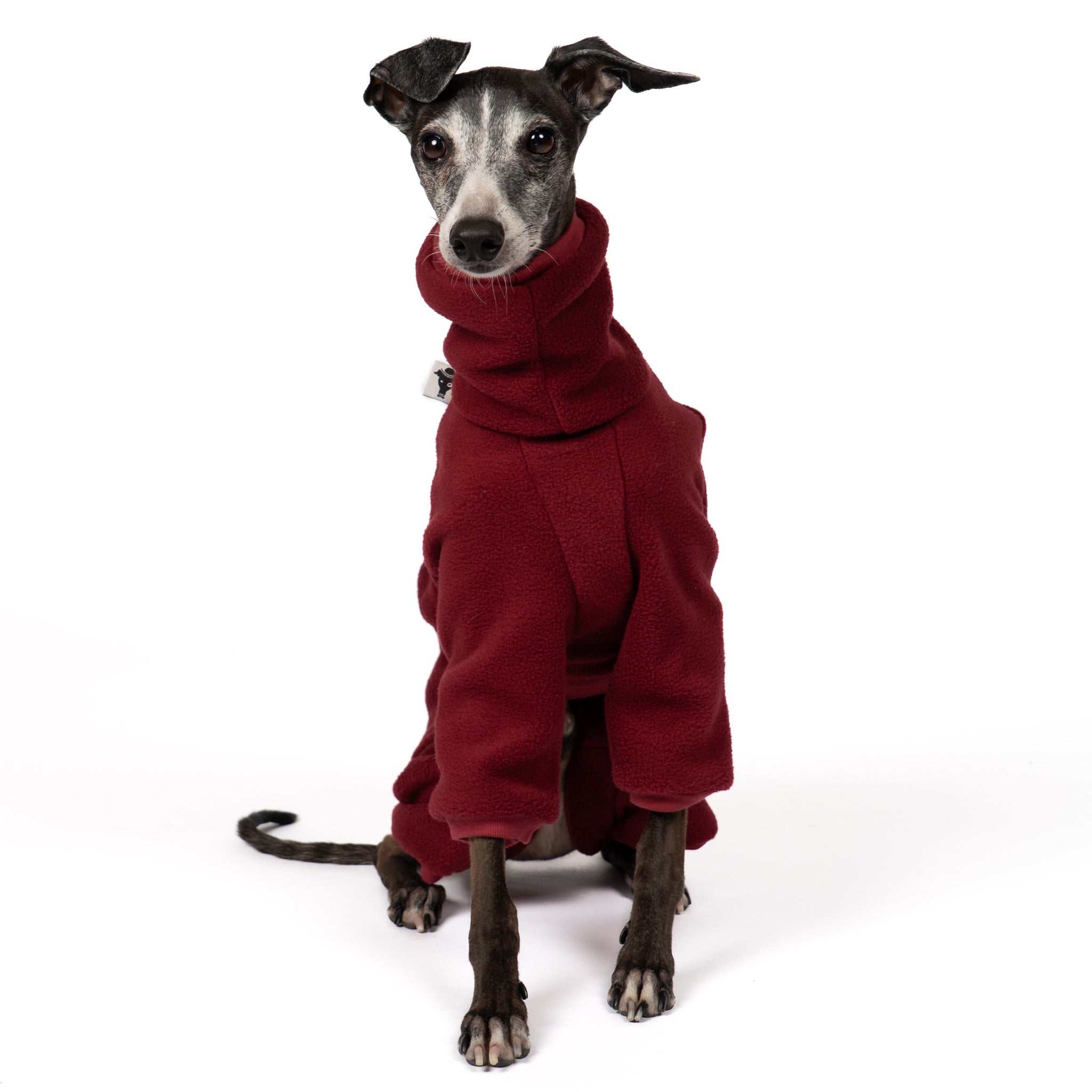 Overall Iggy Bordeaux – Close-up am Hund – hochwertige Hundekleidung von Karma Hund