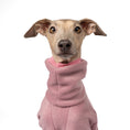 Load image into Gallery viewer, Overall Iggy Mulberry – Close-up am Hund – hochwertige Hundekleidung von Karma Hund
